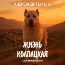 Жизнь колпацкая - Александр Гергель