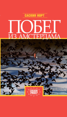 Побег из Амстердама - Саския Норт