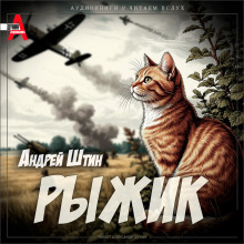 Рыжик - Андрей Штин