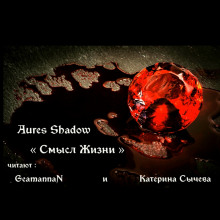 Смысл жизни - Aures Shadow