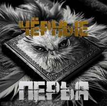 Чёрные перья - Артём Артёмов