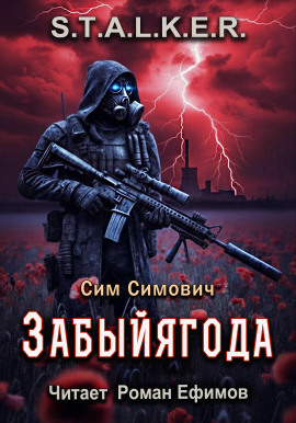 S.T.A.L.K.E.R. Забыйягода - Сим Симович