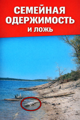 Семейная одержимость и ложь - Автор неизвестен